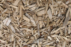 biomass boilers Torgulbin
