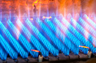 Torgulbin gas fired boilers